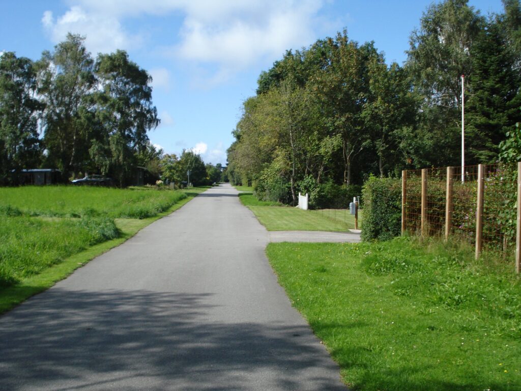 DSC01307